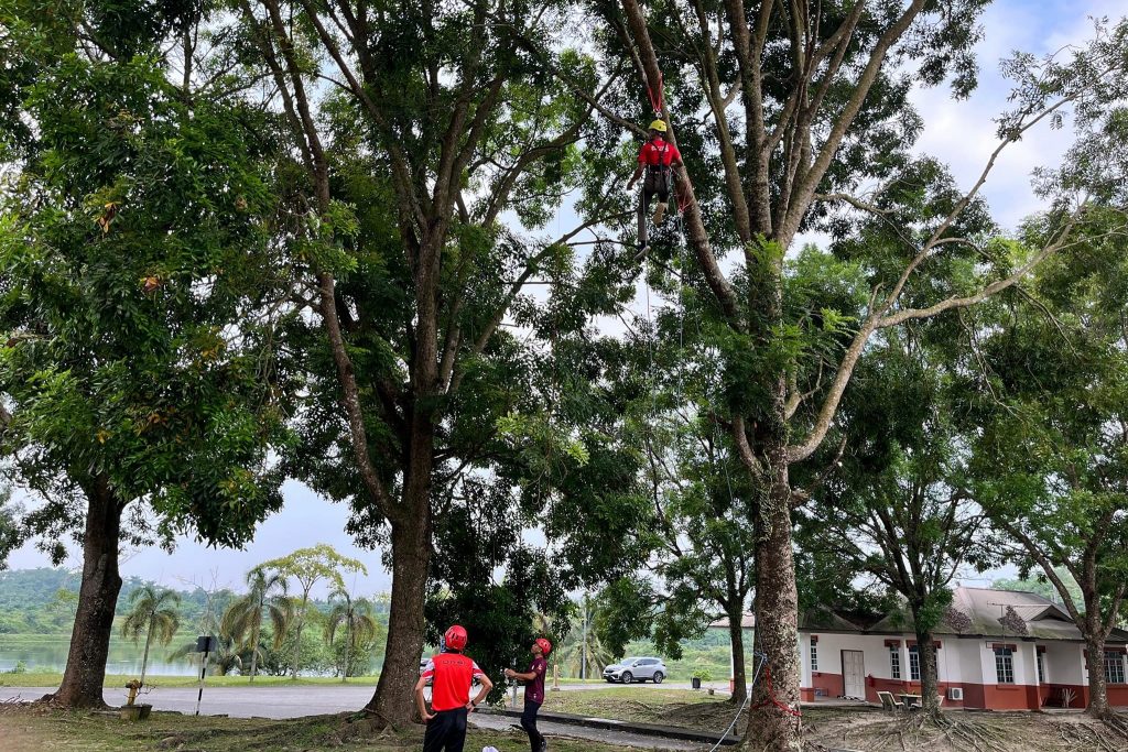 440937112_1019950606476710_7078768830523281907_n