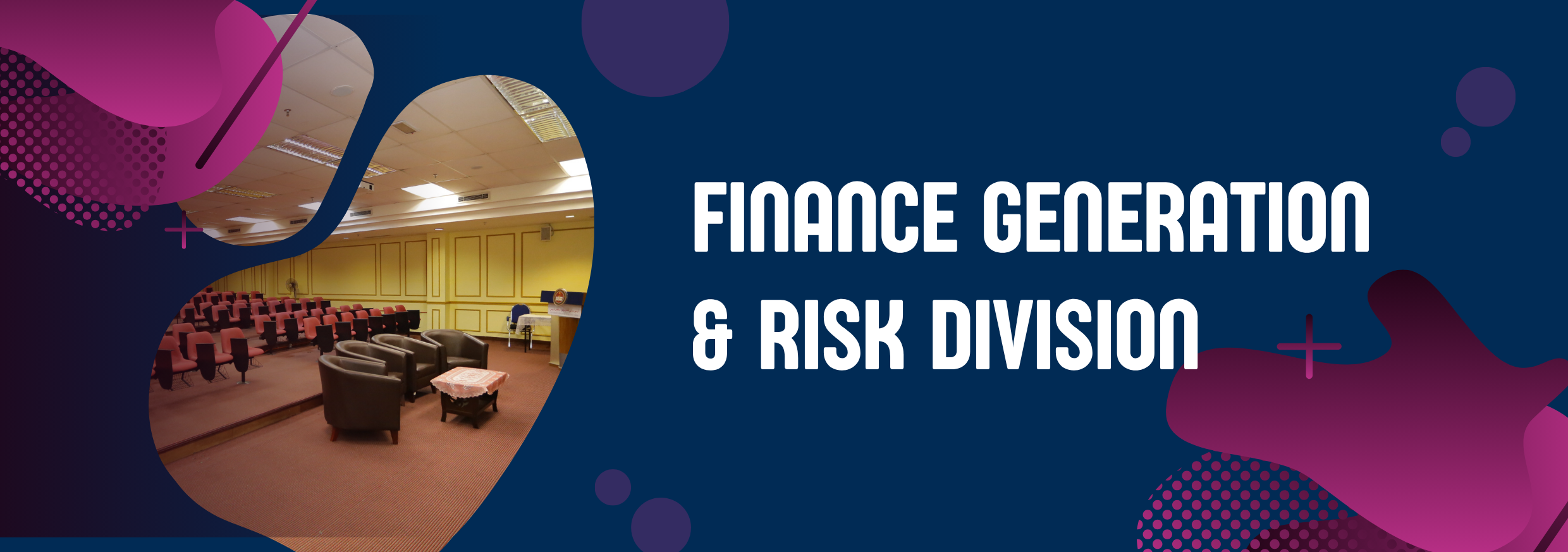 Finance Generation and Risk Division